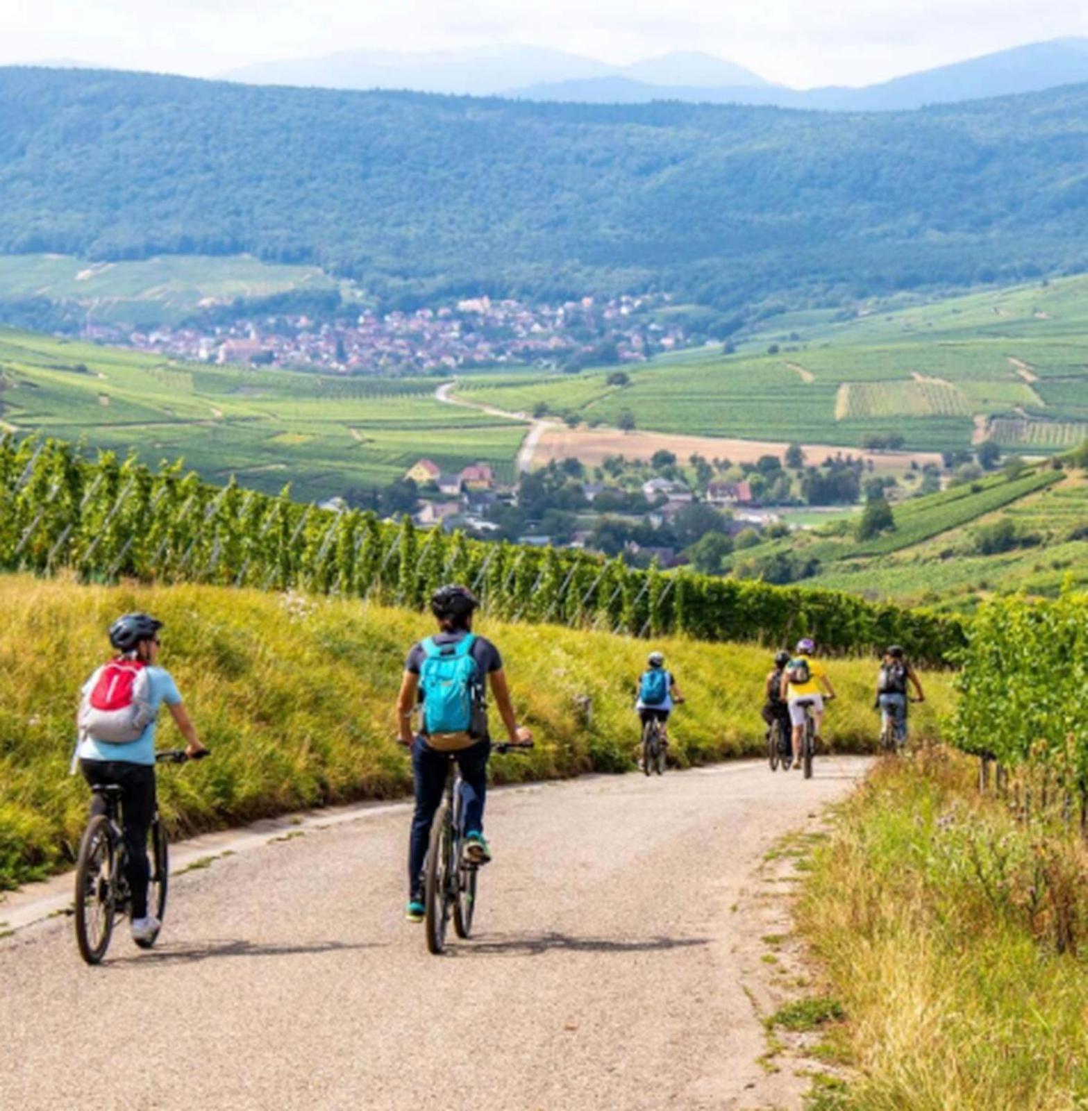 Privative Sur La Route Des Vins Tv Parking Box Velo * Issenheim