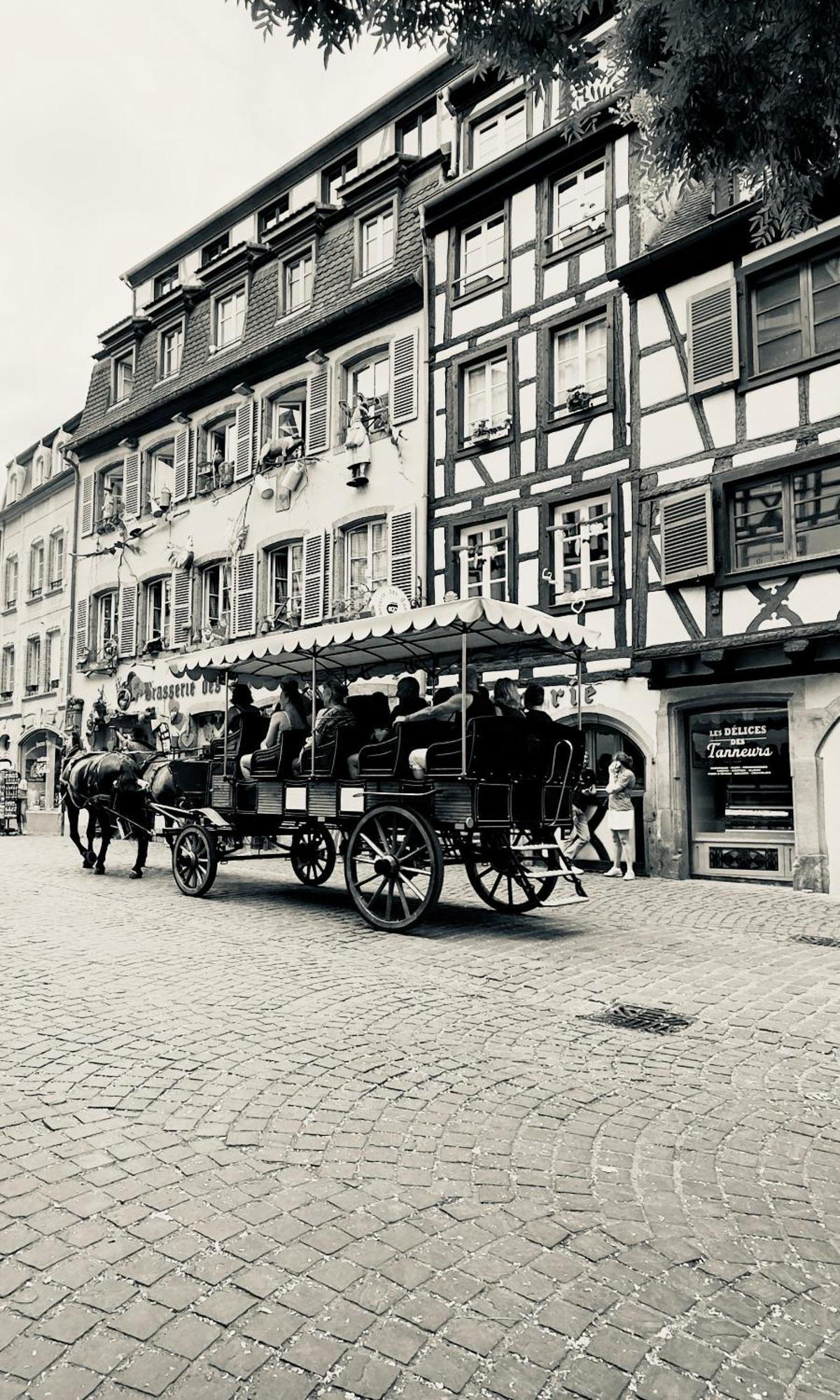 Privative Sur La Route Des Vins Tv Parking Box Velo Issenheim